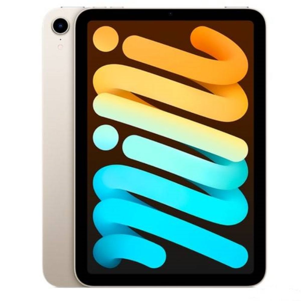 iPad mini 256GB